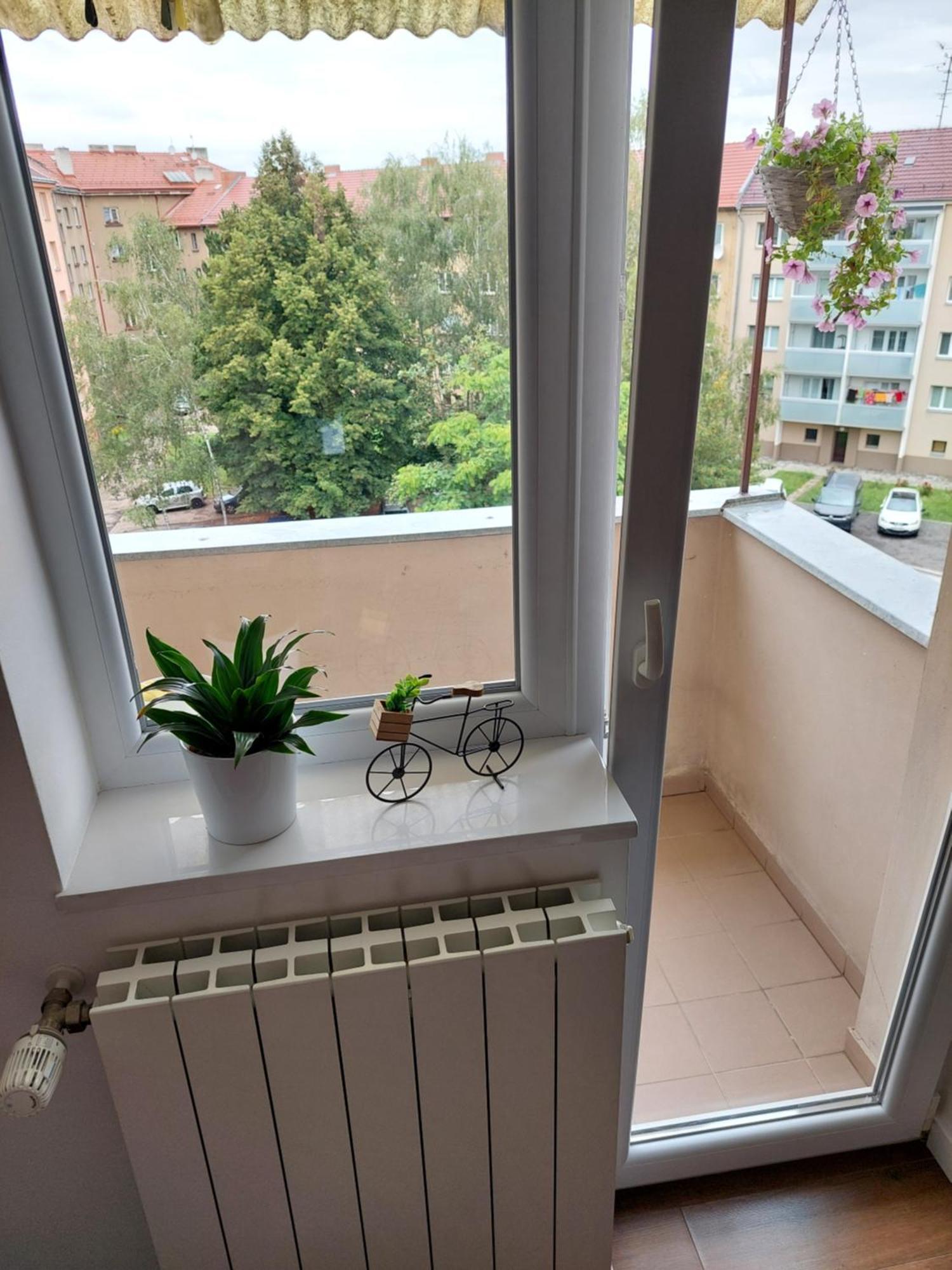 B&B Resslova Hradec Králové Eksteriør bilde